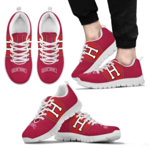 Harvard Crimson NCAA Fan Custom Unofficial Running Shoes Sneakers Trainers