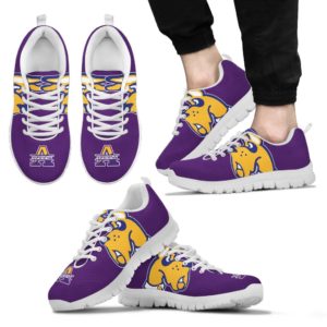 University At Albany NCAA Fan Custom Unofficial Running Shoes Sneakers Trainers