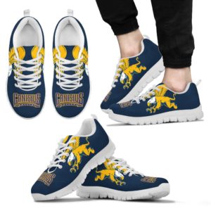 Canisius Golden Griffins NCAA Fan Custom Unofficial Running Shoes Sneakers Trainers