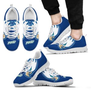 Florida Gulf Coast Eagles Fan Custom Unofficial Running Shoes Sneakers Trainers