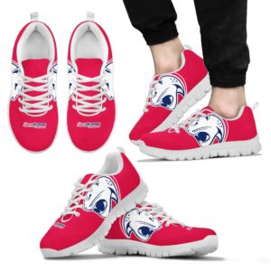 South Alabama Jaguars NCAA Fan Custom Unofficial Running Shoes Sneakers Trainers